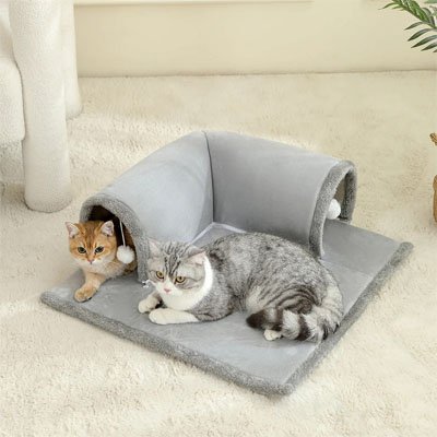 chats qui se reposent ensemble grace a leur tunnel pour chat multifonction