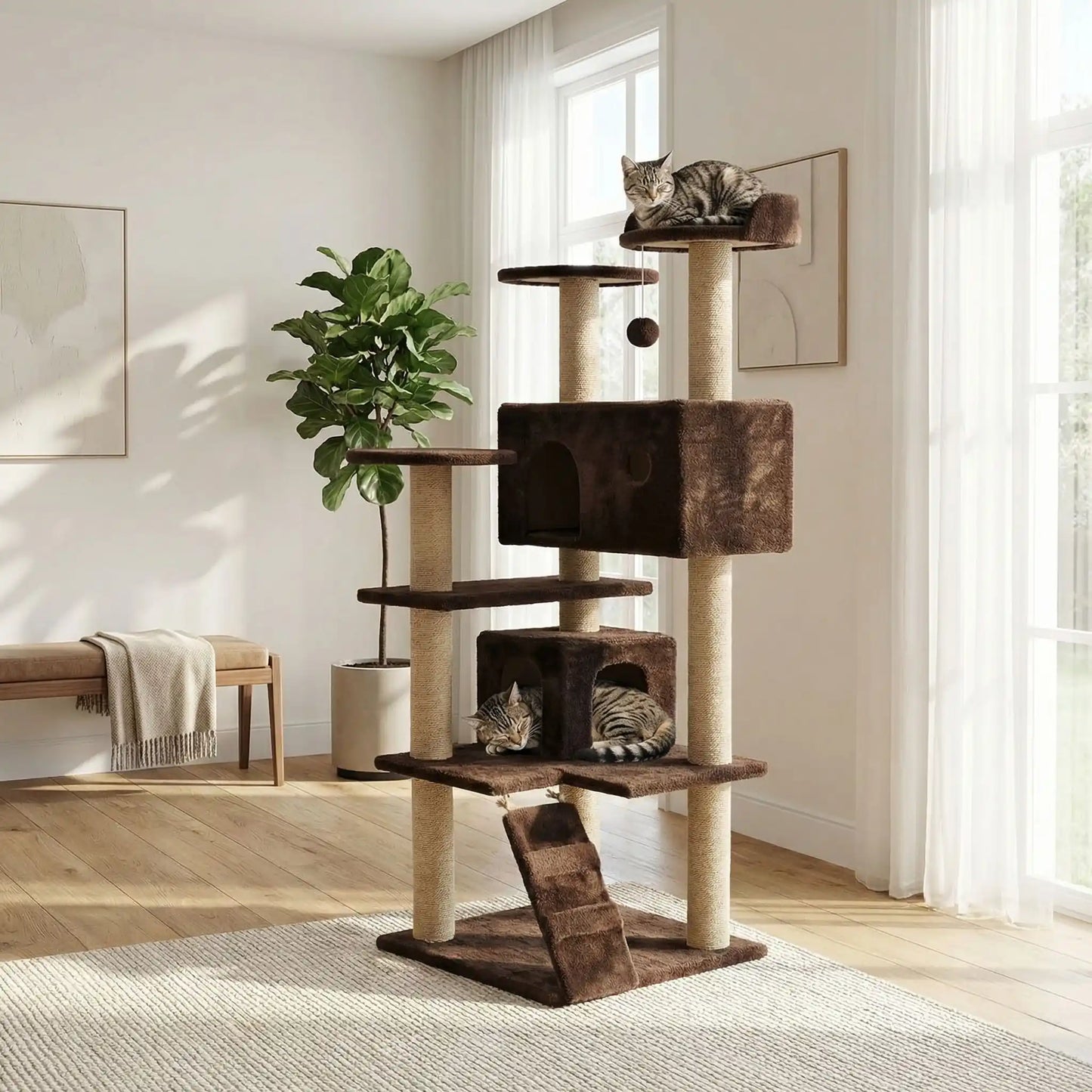 chats qui se reposent sur leur arbre a chat marron