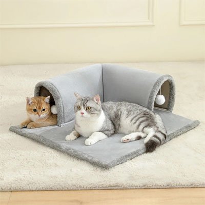 chats roux et gris qui se reposent sur le tunnel pour chat douillet