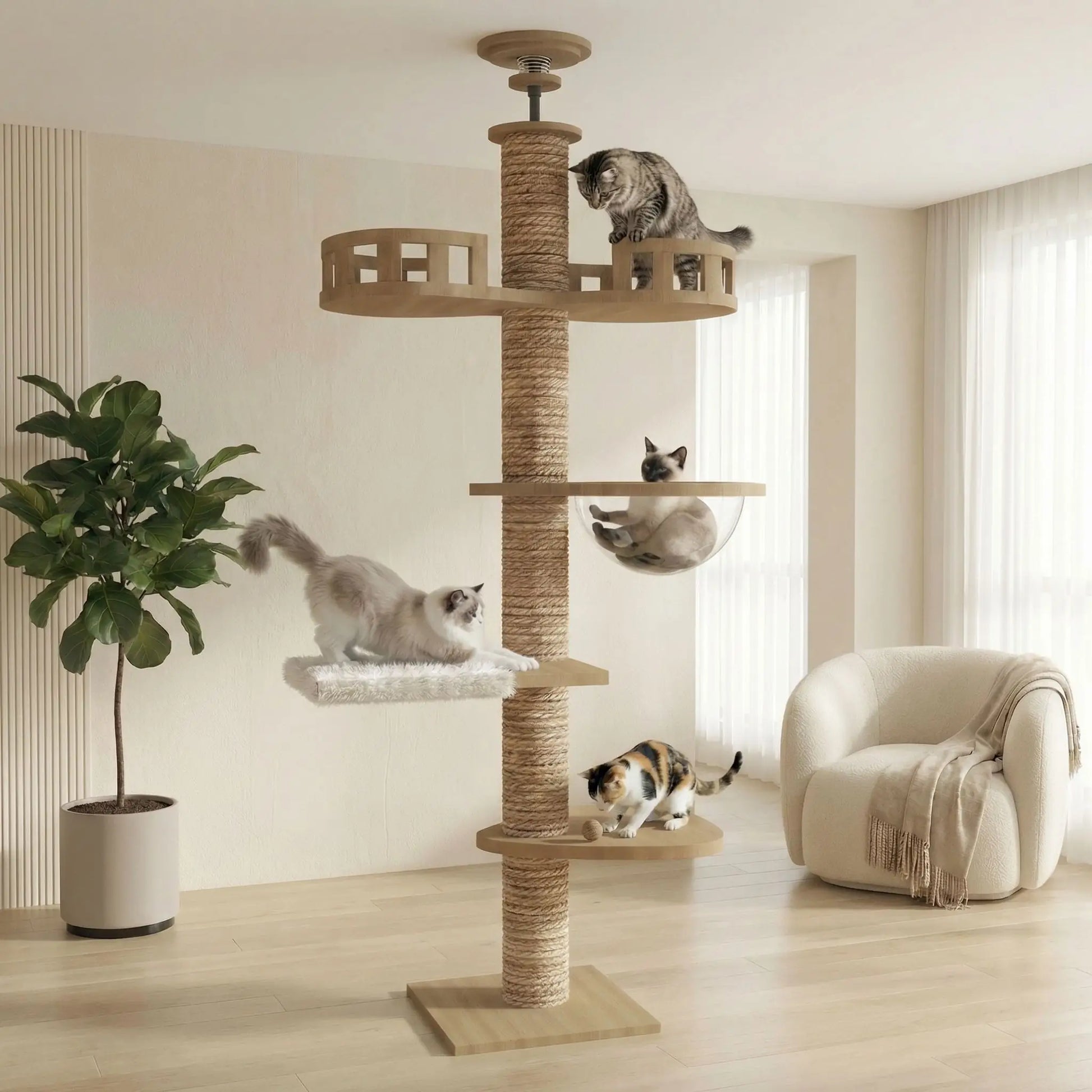chats sur les differentes plateformes de leur arbre a chat bois