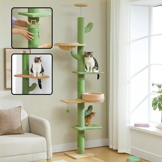 Chats sur leur nouvel arbre a chat cactus vert