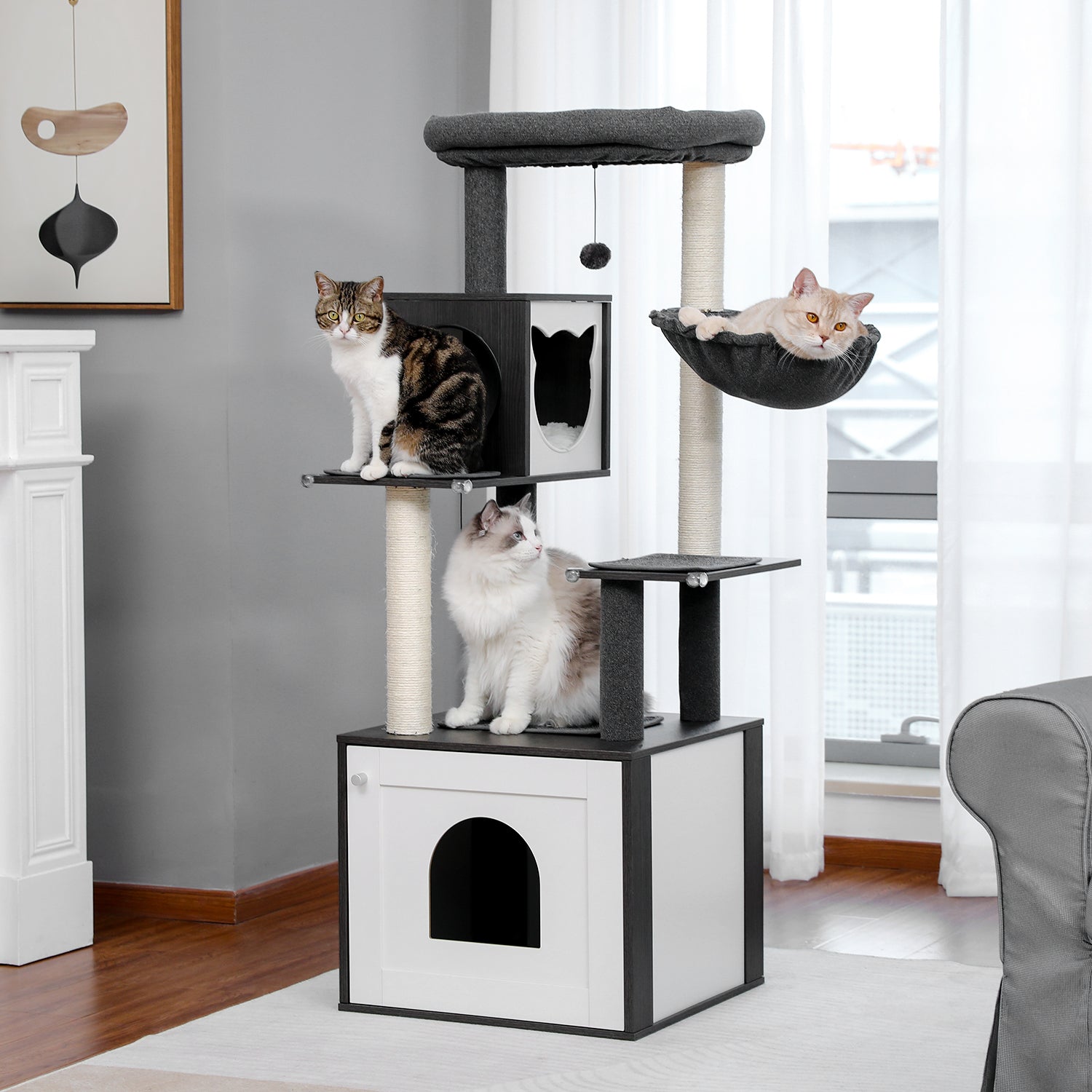 chats sur leur nouvel arbre a chat en bois avec griffoirs en sisal