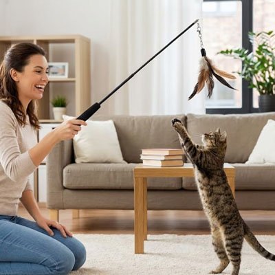 femme qui joue avec son chat grace au jeu pour chat noir