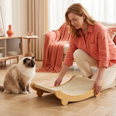 femme qui presente le nouveau griffoir chat a son petit compagnon