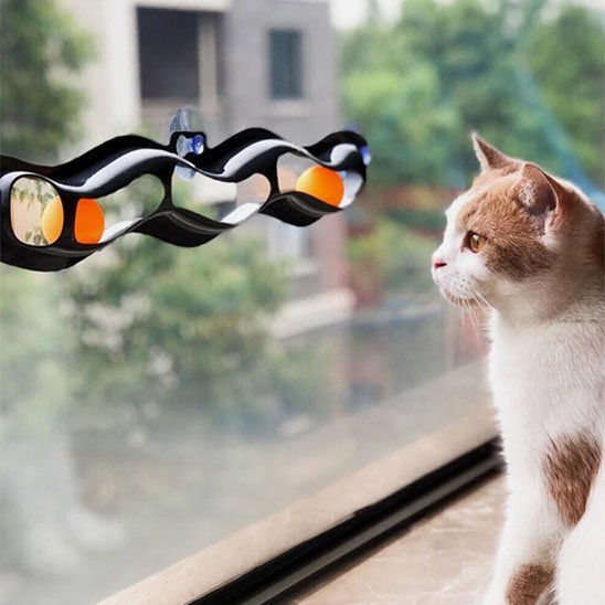 Jouet pour chat | Interactif - Le Salon Félin