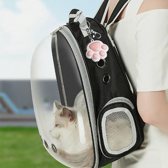 porte cle laser pour chat accroche au sac a dos
