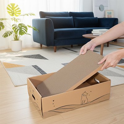 Proprietaire qui change le griffoir de son griffoir chat carton