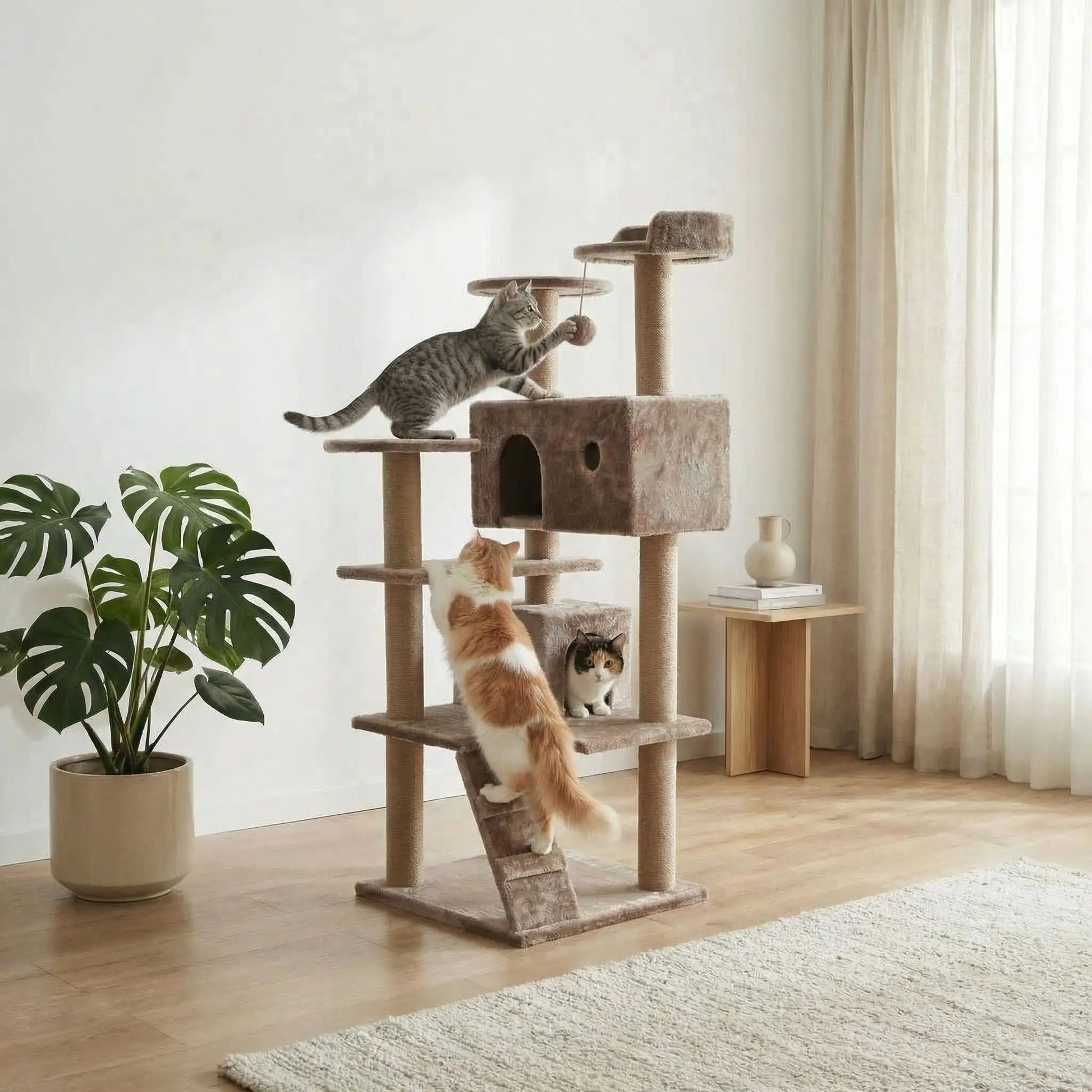 trois chats qui decouvrent ensemble un arbre a chat a plusieurs plateformes